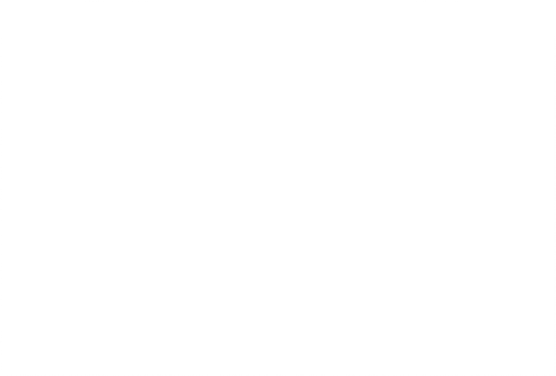 lithium battery