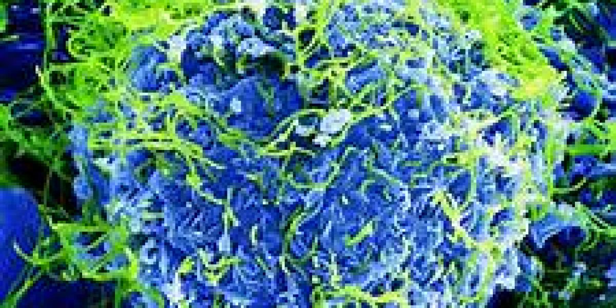 Infectious Substances
